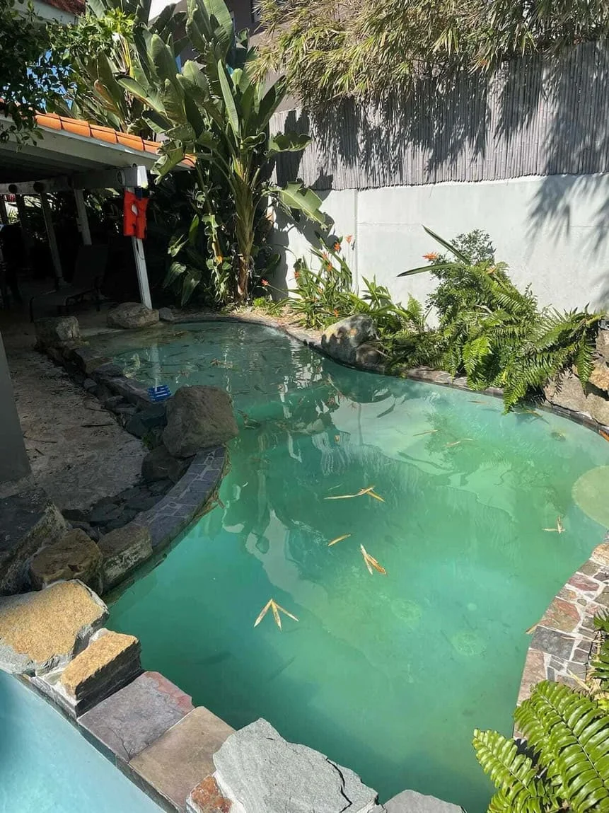 Piscinas - Mora Mora Pool Care