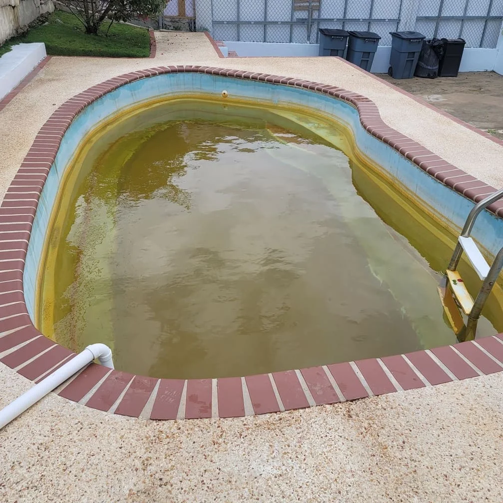 Piscinas - Mora Mora Pool Care