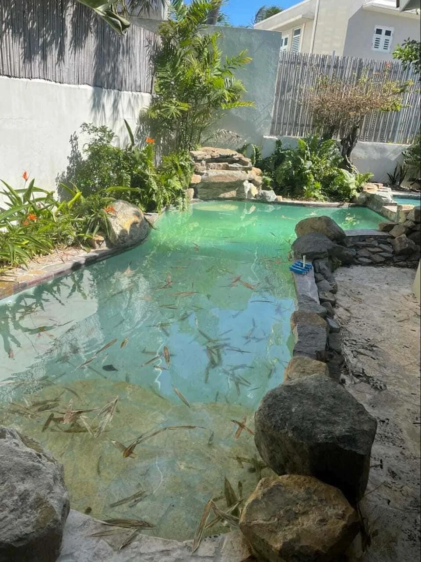 Piscinas - Mora Mora Pool Care
